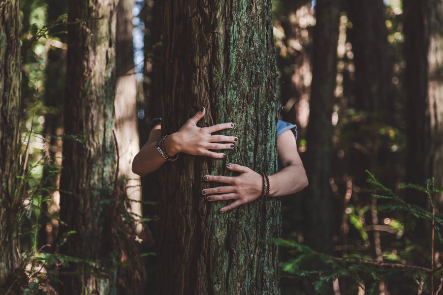 woman hugging tree - sustainable business